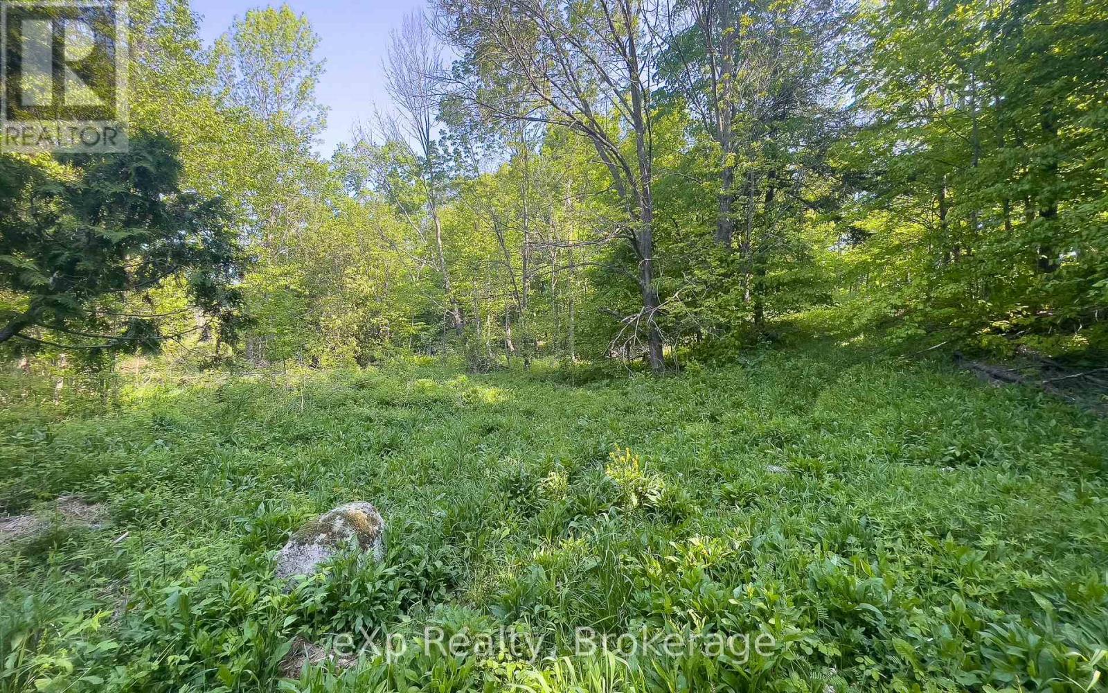E 1/2 Lt 29-30 Con 4; Sideroad 30 Property Photo 35