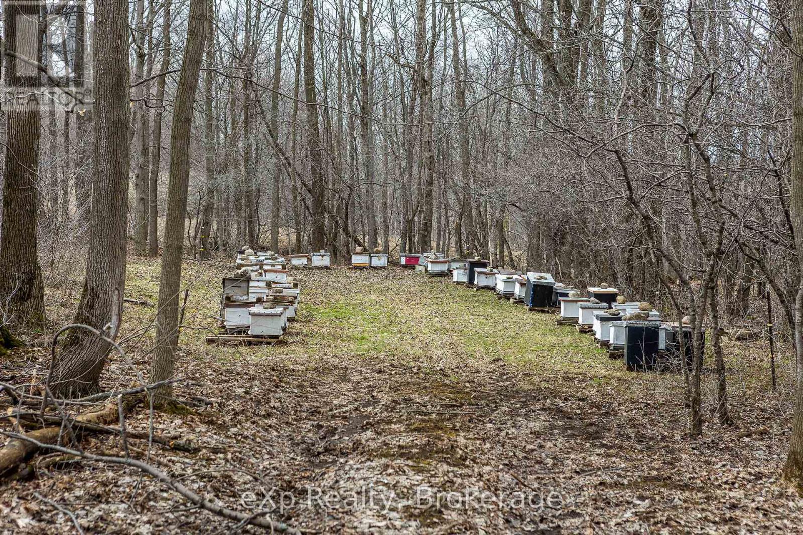 Ptlt 29 Con 1s, St. Vincent-sydenham Townline Property Photo 3