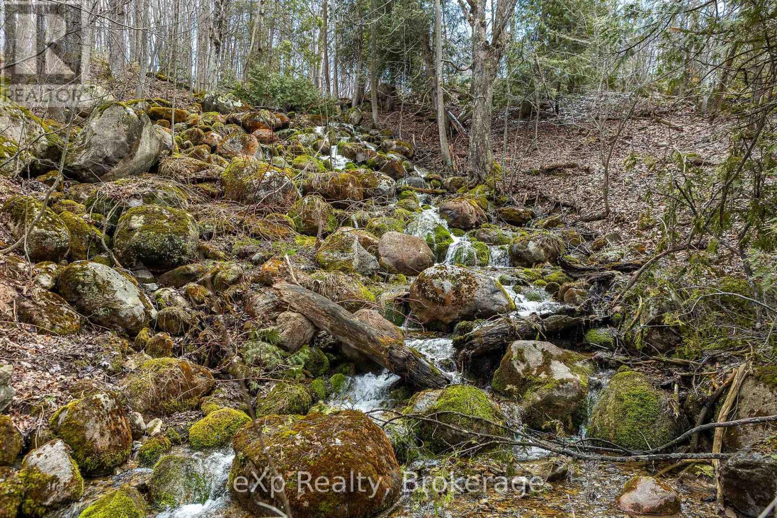 Ptlt 29 Con 1s, St. Vincent-sydenham Townline Property Photo 4