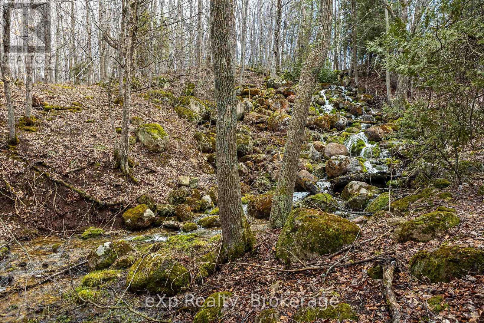 Ptlt 29 Con 1s, St. Vincent-sydenham Townline Property Photo 6