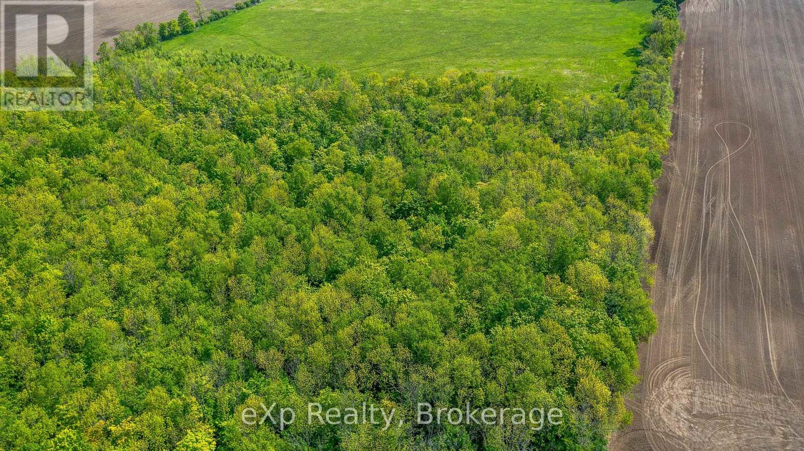 Ptlt 29 Con 1s, St. Vincent-sydenham Townline Property Photo 10