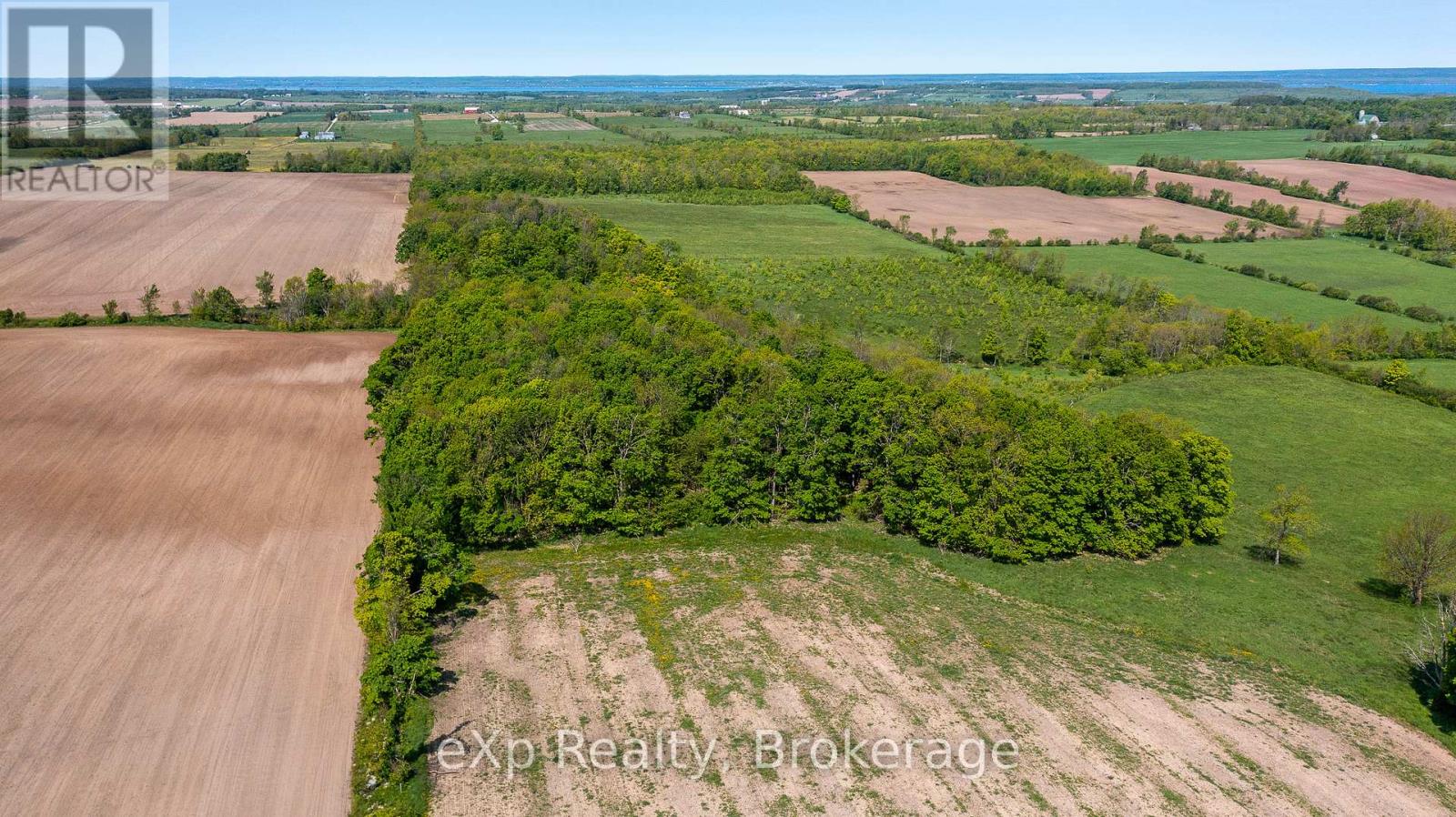 Ptlt 29 Con 1s, St. Vincent-sydenham Townline Property Photo 26