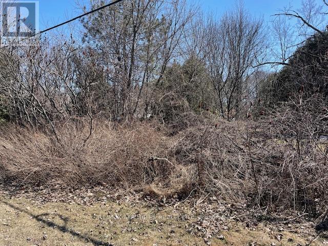 X Old Montreal Road Property Photo 13