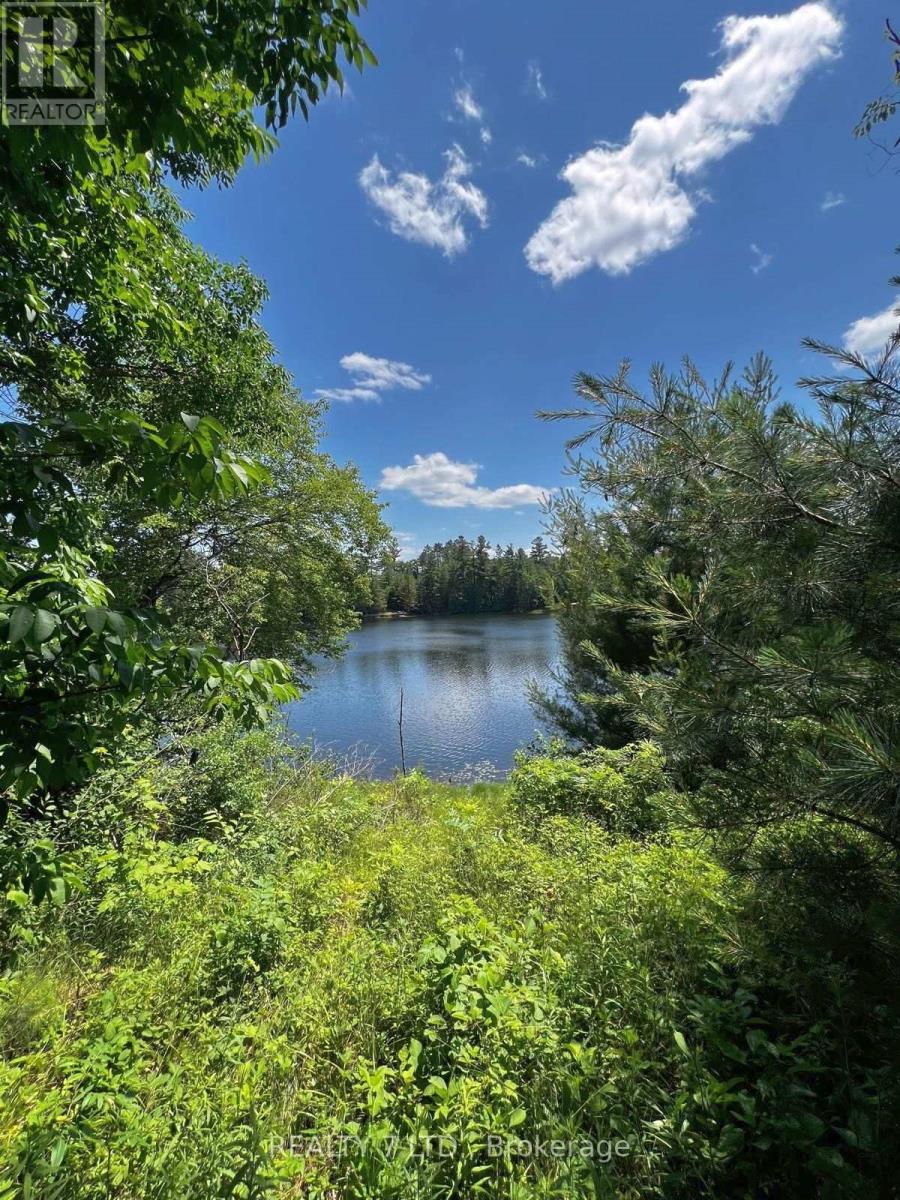 14276 Highway 41, Cloyne Road Property Photo 5