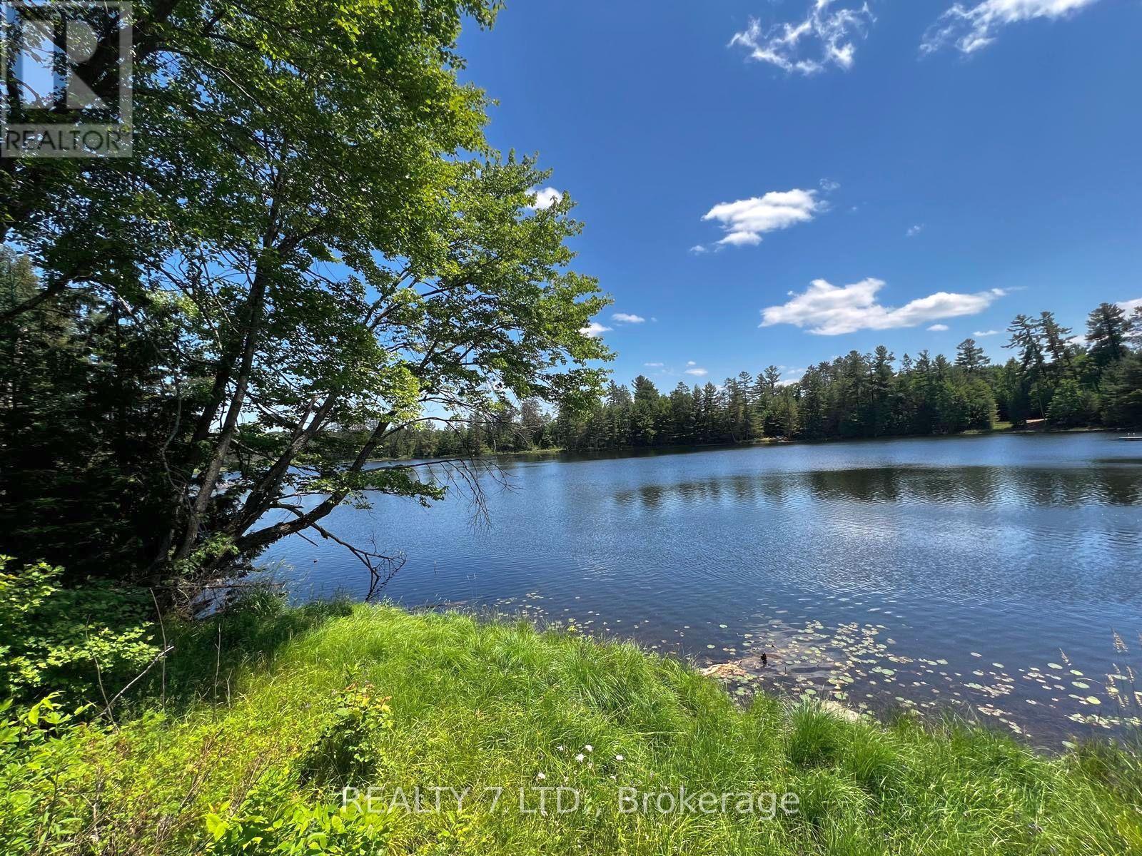 14276 Highway 41, Cloyne Road Property Photo 6
