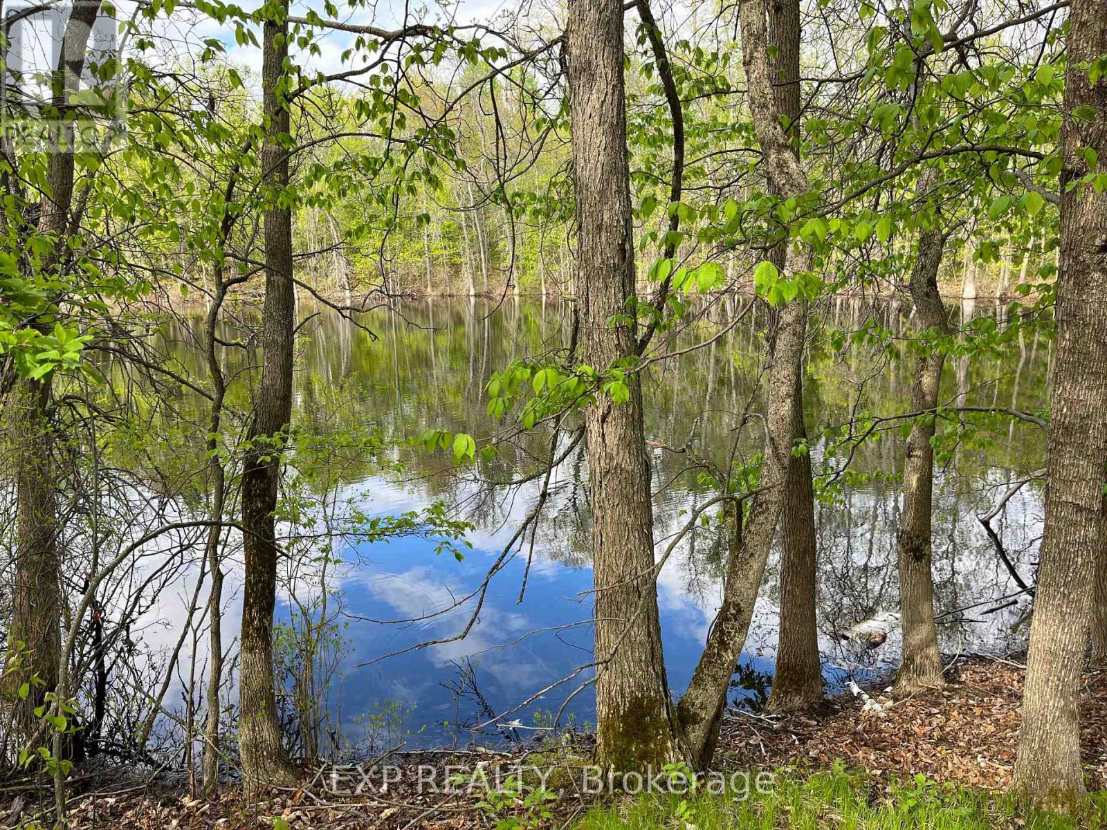 Lot 4 Sandy Shores Trail Property Photo 3