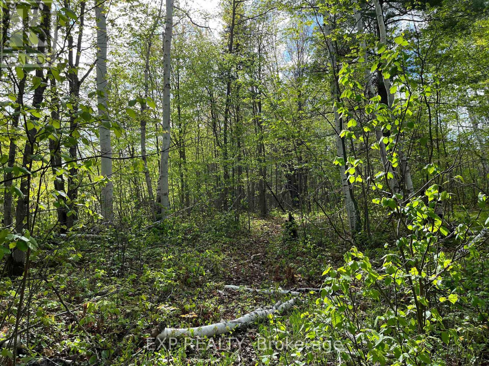 Lot 4 Sandy Shores Trail Property Photo 4