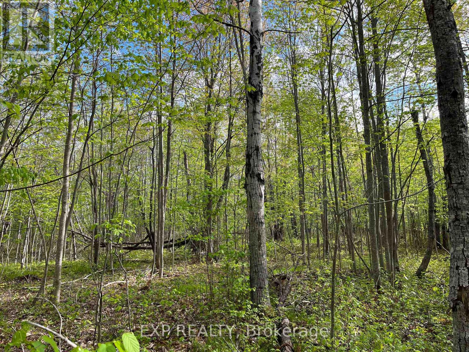 Lot 4 Sandy Shores Trail Property Photo 5