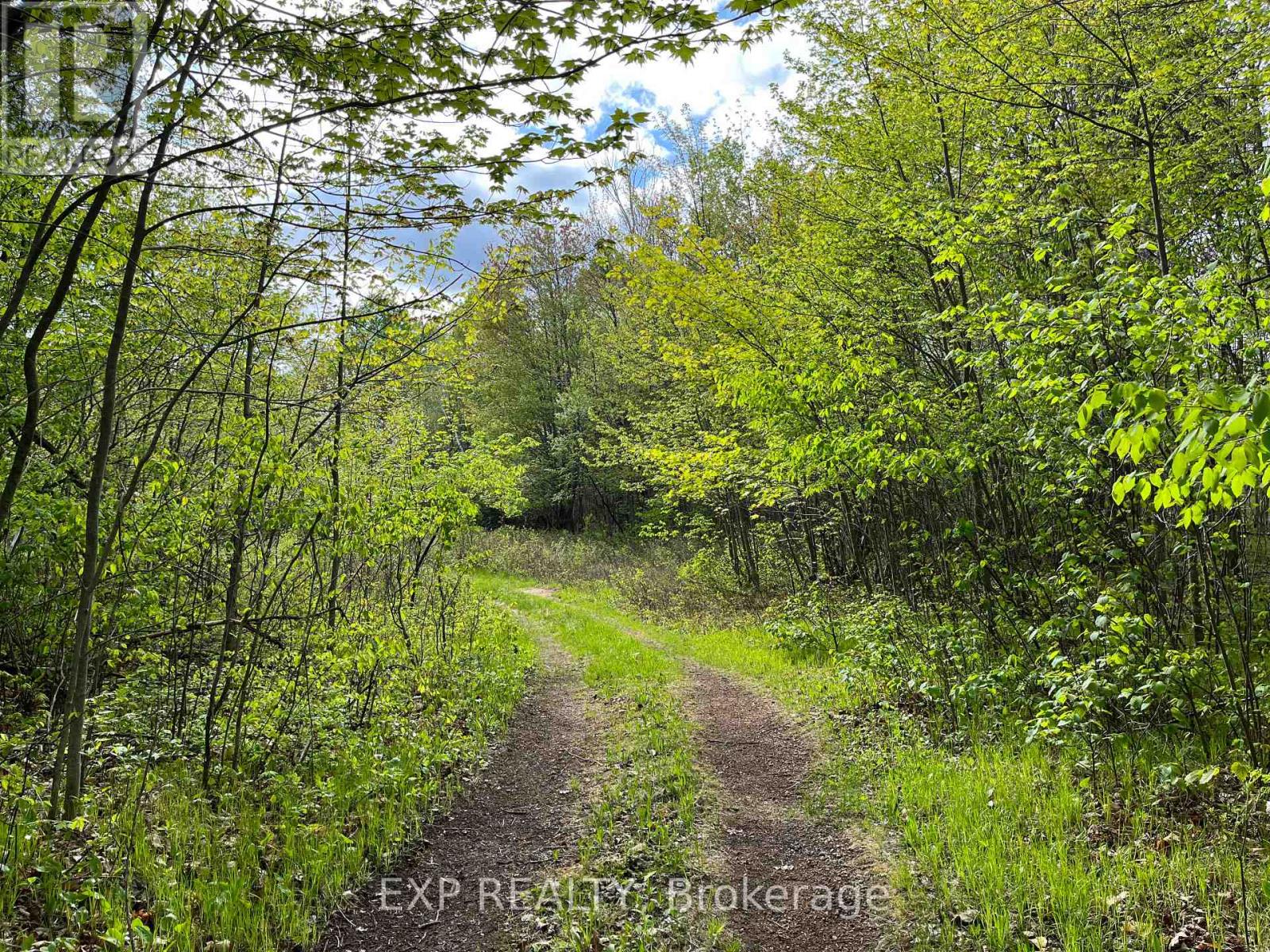Lot 4 Sandy Shores Trail Property Photo 6