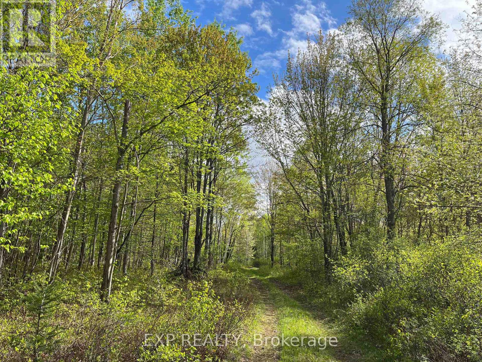 Lot 4 Sandy Shores Trail Property Photo 7