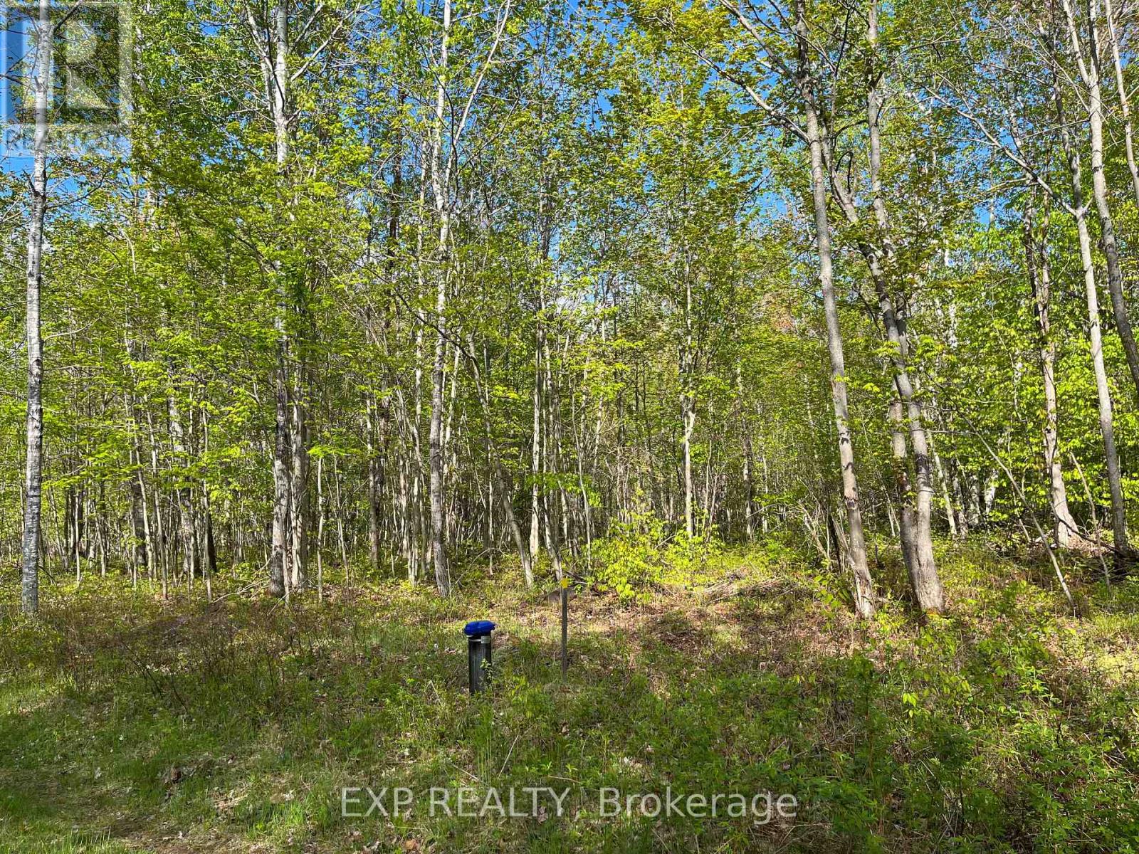 Lot 4 Sandy Shores Trail Property Photo 8
