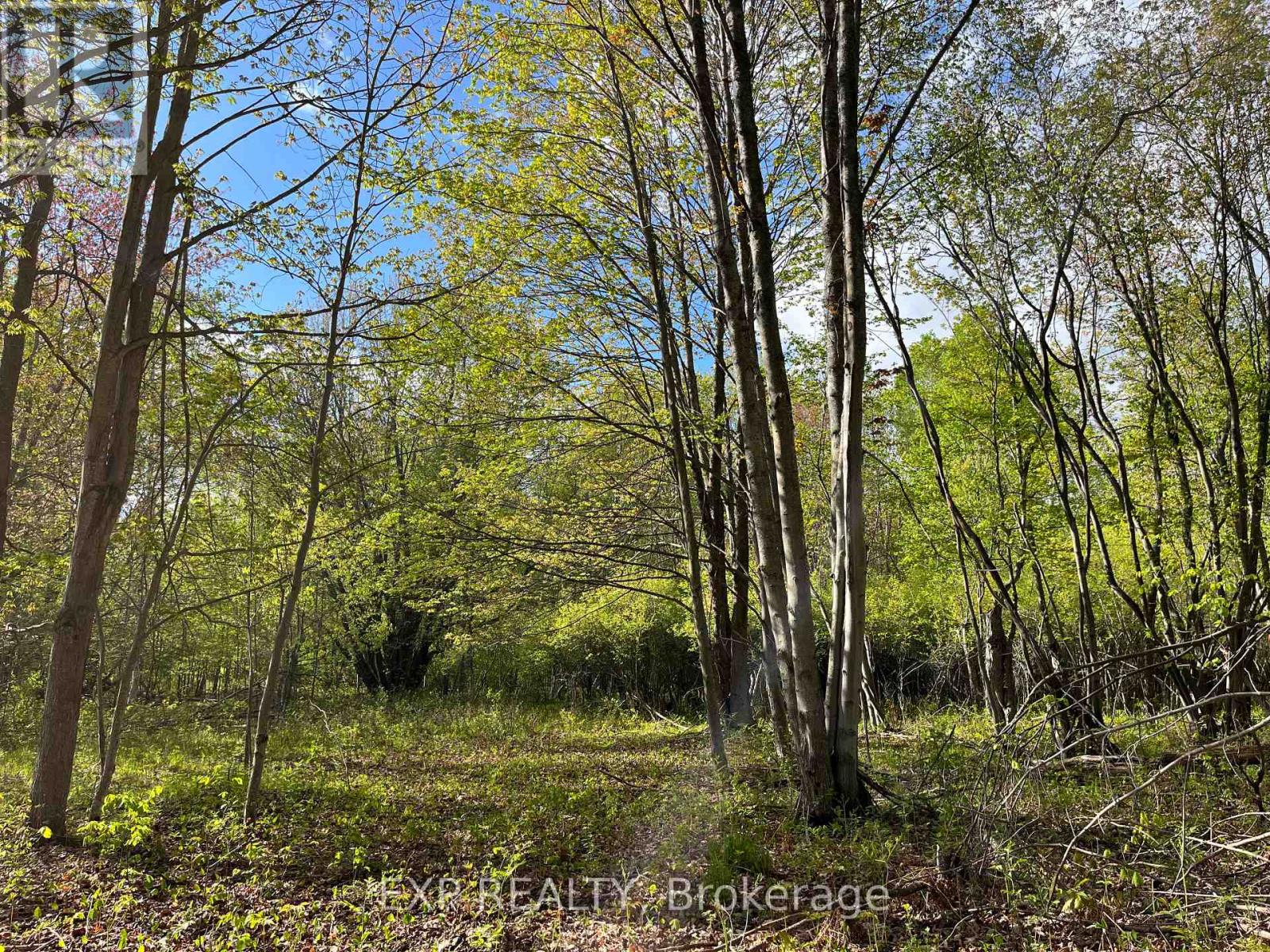 Lot 4 Sandy Shores Trail Property Photo 9