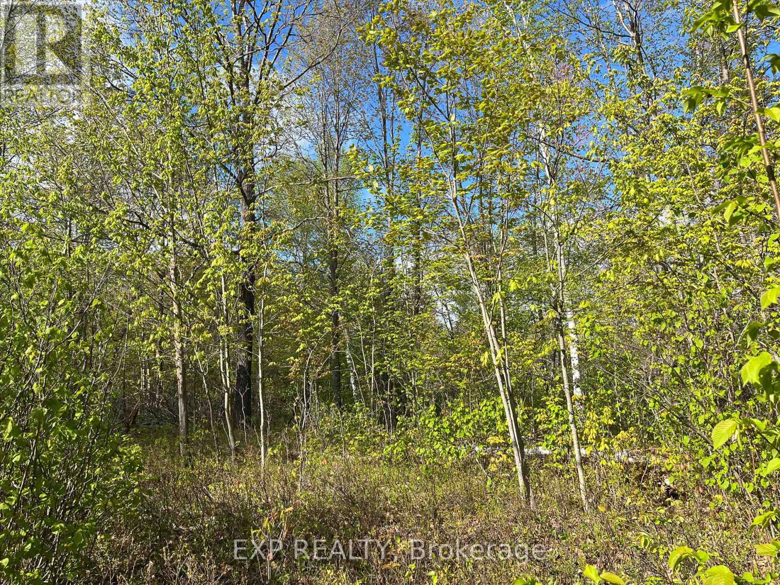 Lot 6 Casson Trail Property Photo 1