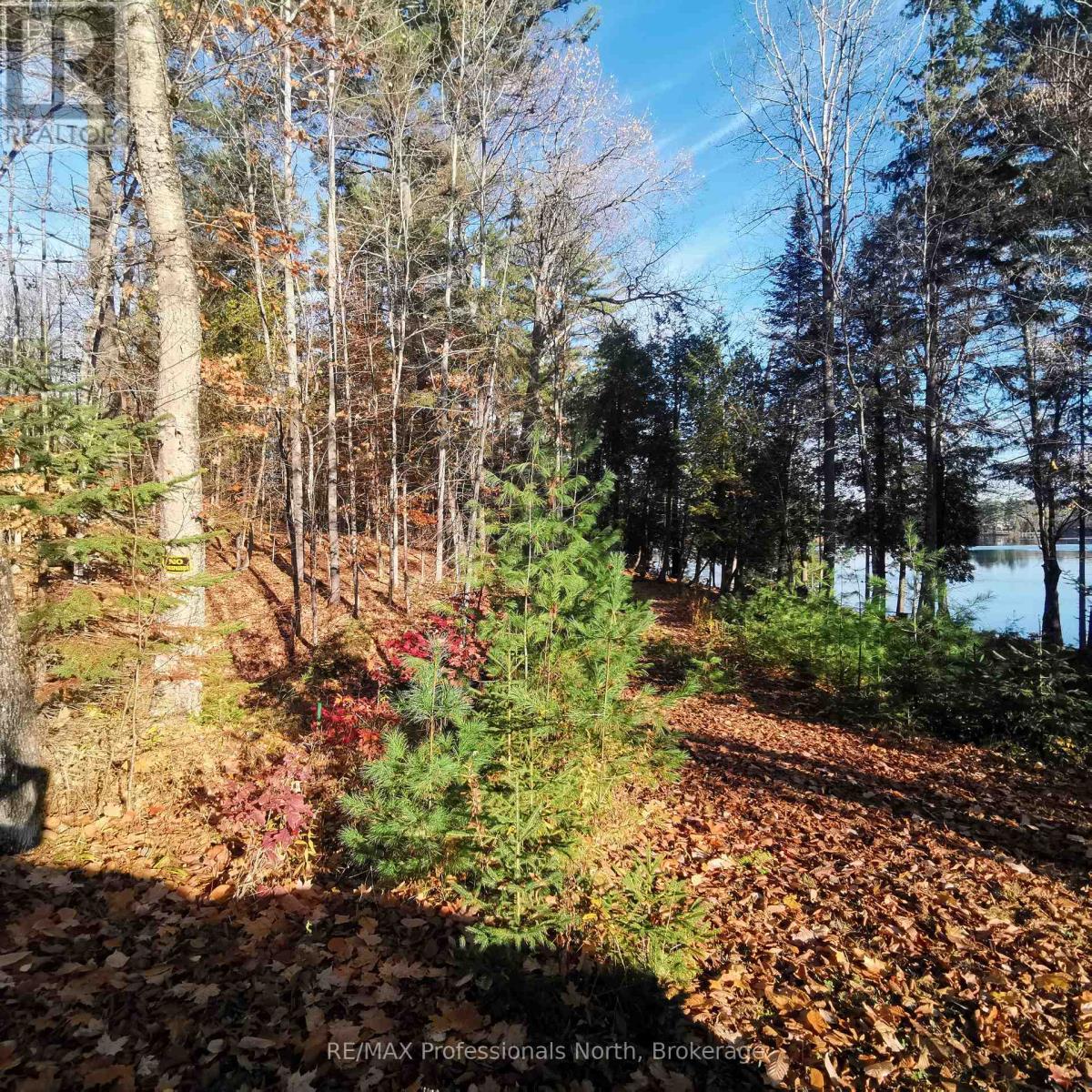 416 Swallowdale Road Property Photo 6