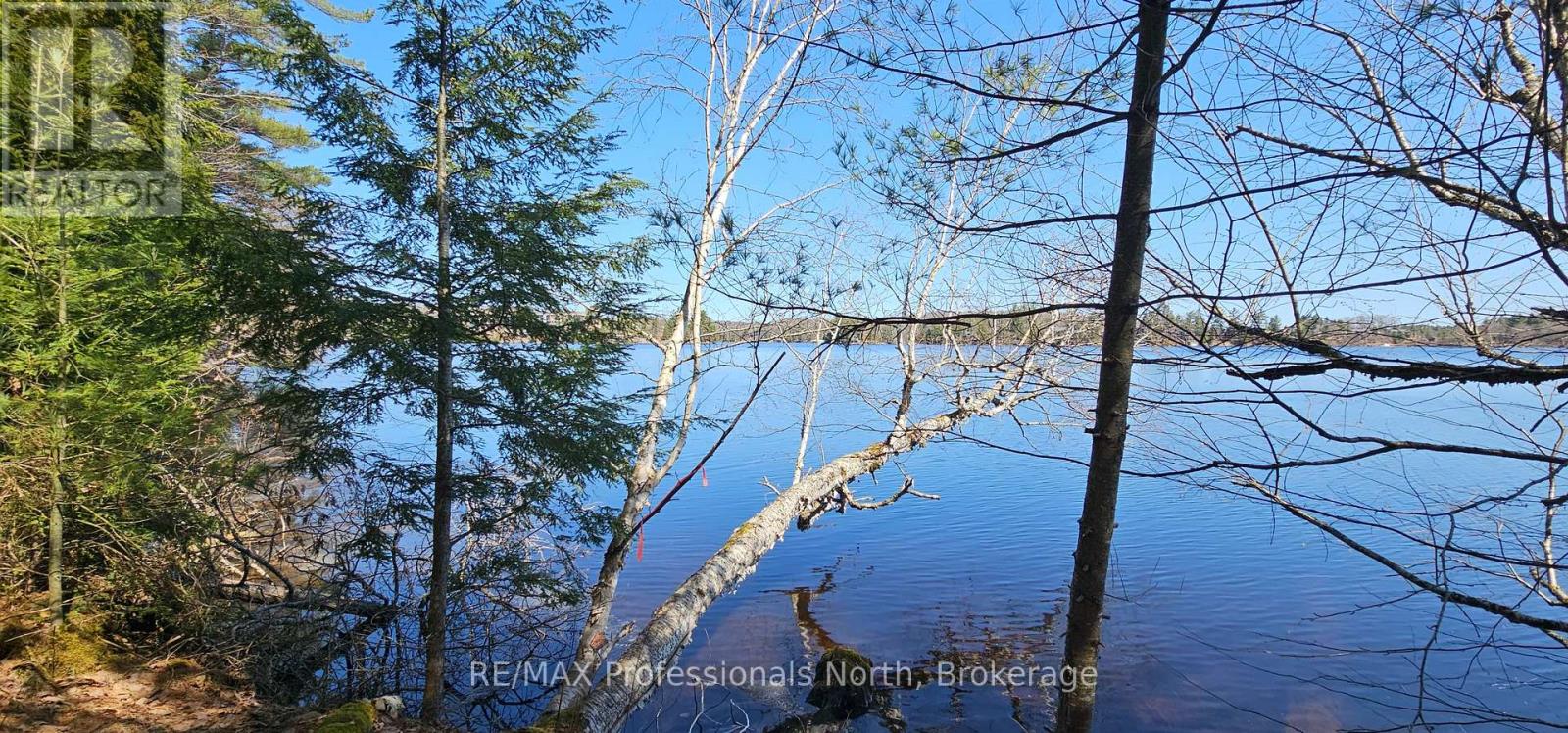 416 Swallowdale Road Property Photo 8