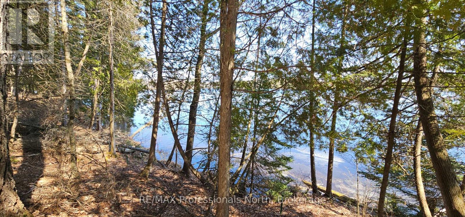 416 Swallowdale Road Property Photo 9