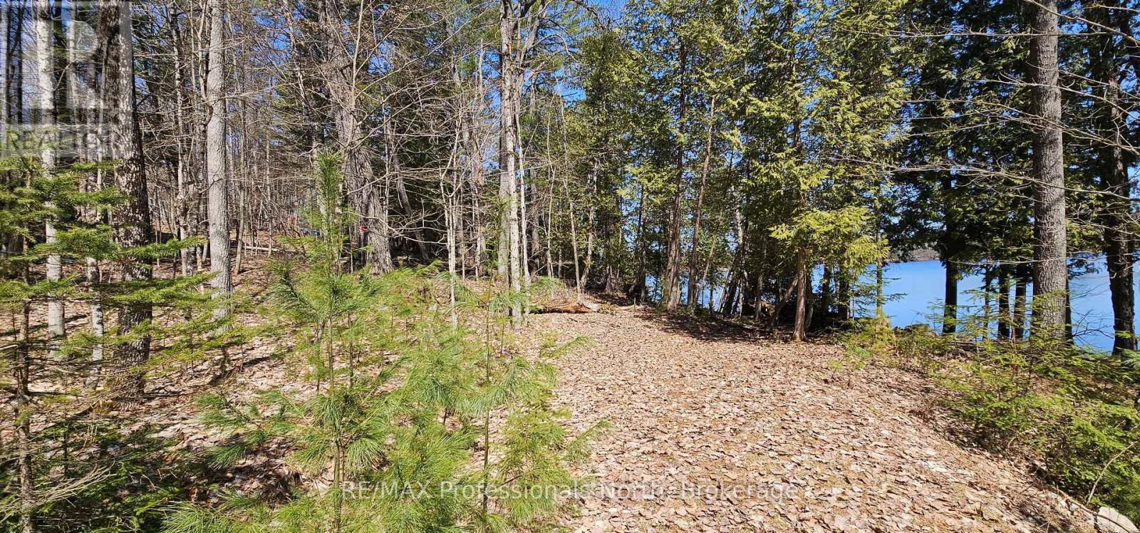 416 Swallowdale Road Property Photo 10