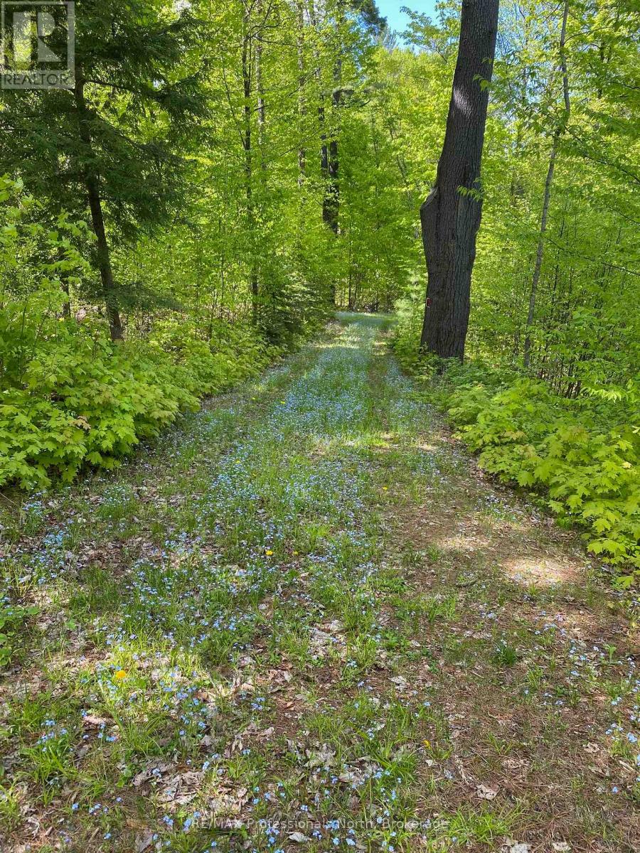 416 Swallowdale Road Property Photo 11
