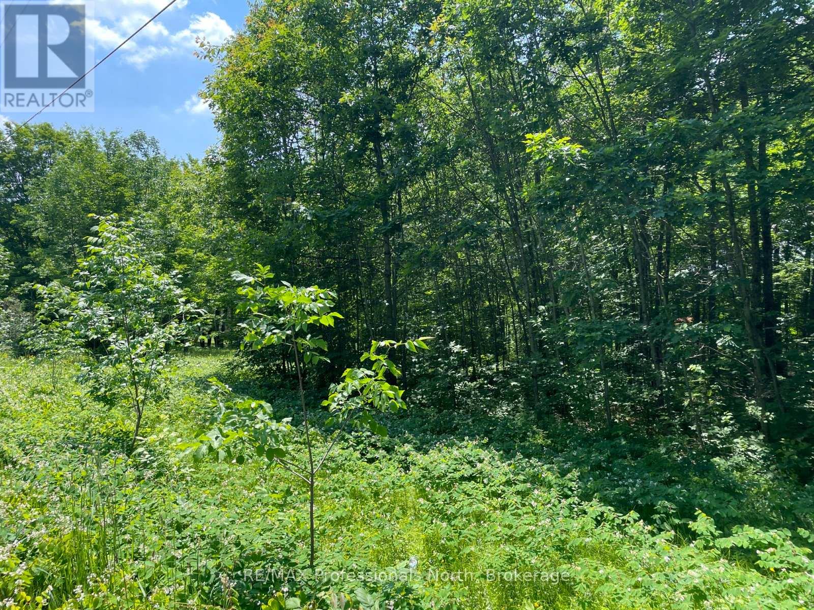 0 Glamor Lake Road Property Photo 3