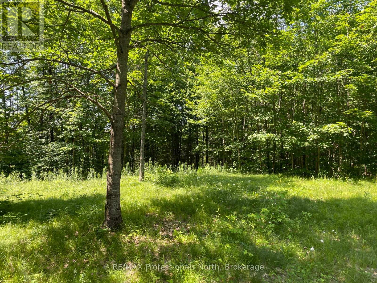 0 Glamor Lake Road Property Photo 4