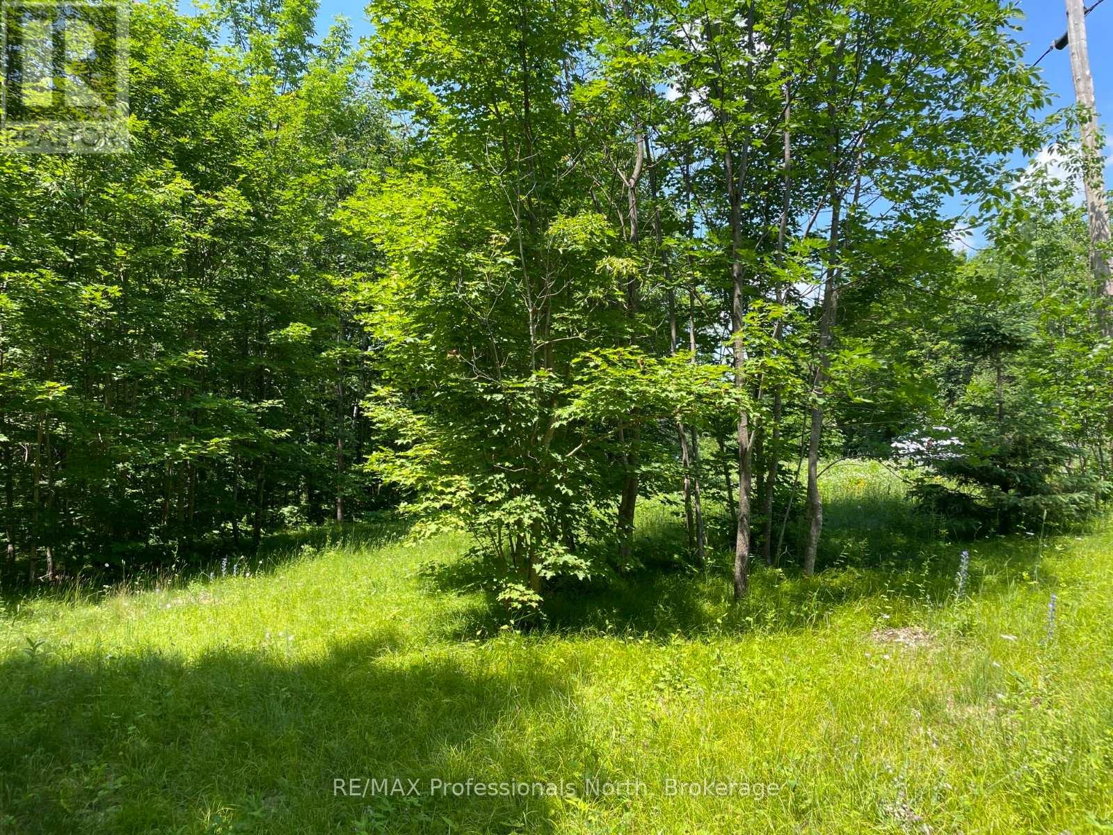 0 Glamor Lake Road Property Photo 5