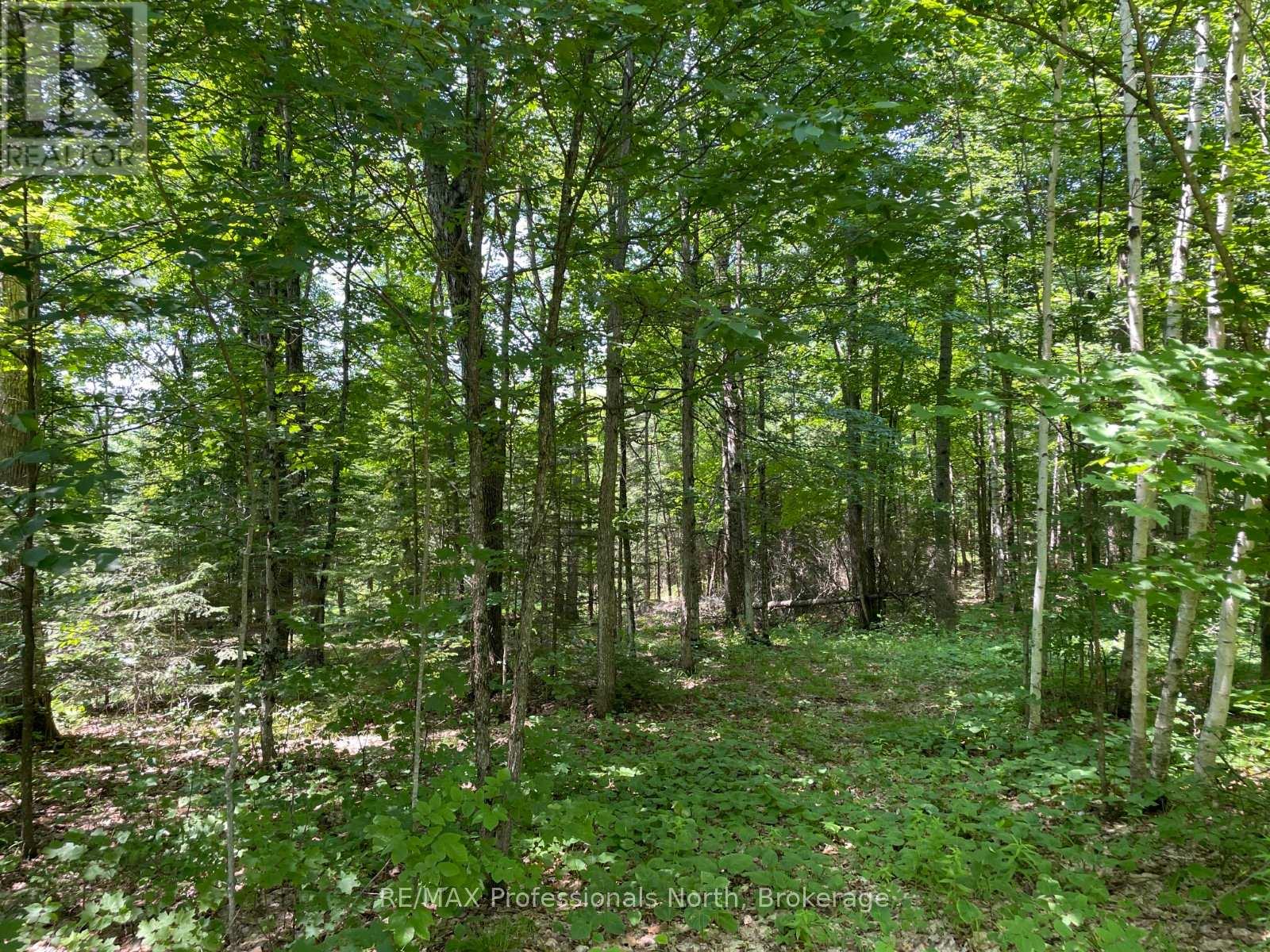 0 Glamor Lake Road Property Photo 6