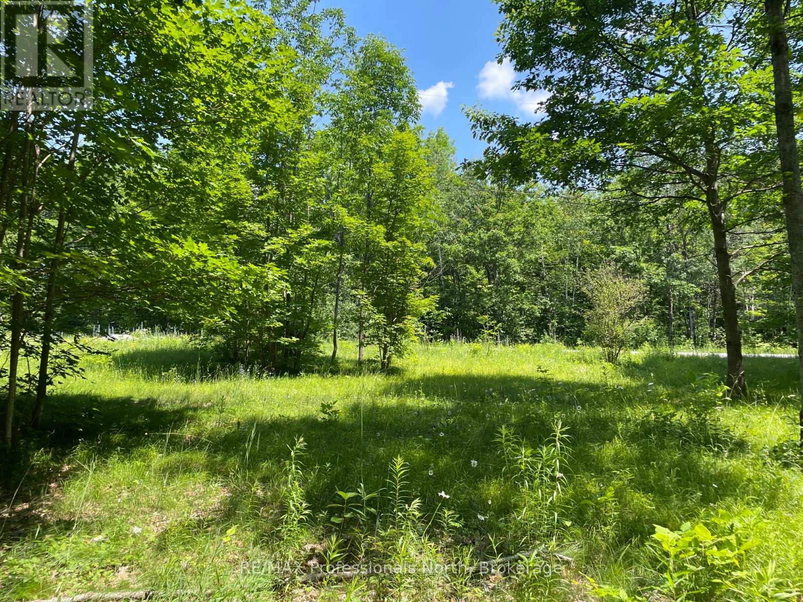 0 Glamor Lake Road Property Photo 7