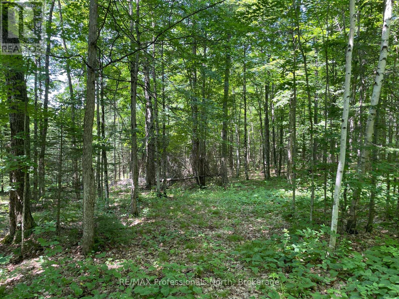 0 Glamor Lake Road Property Photo 9