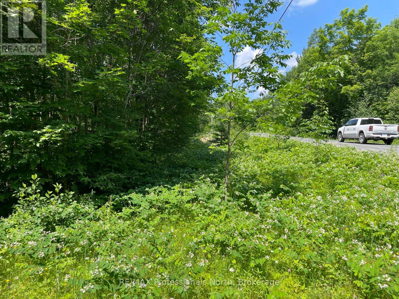 0 Glamor Lake Road Property Photo 10