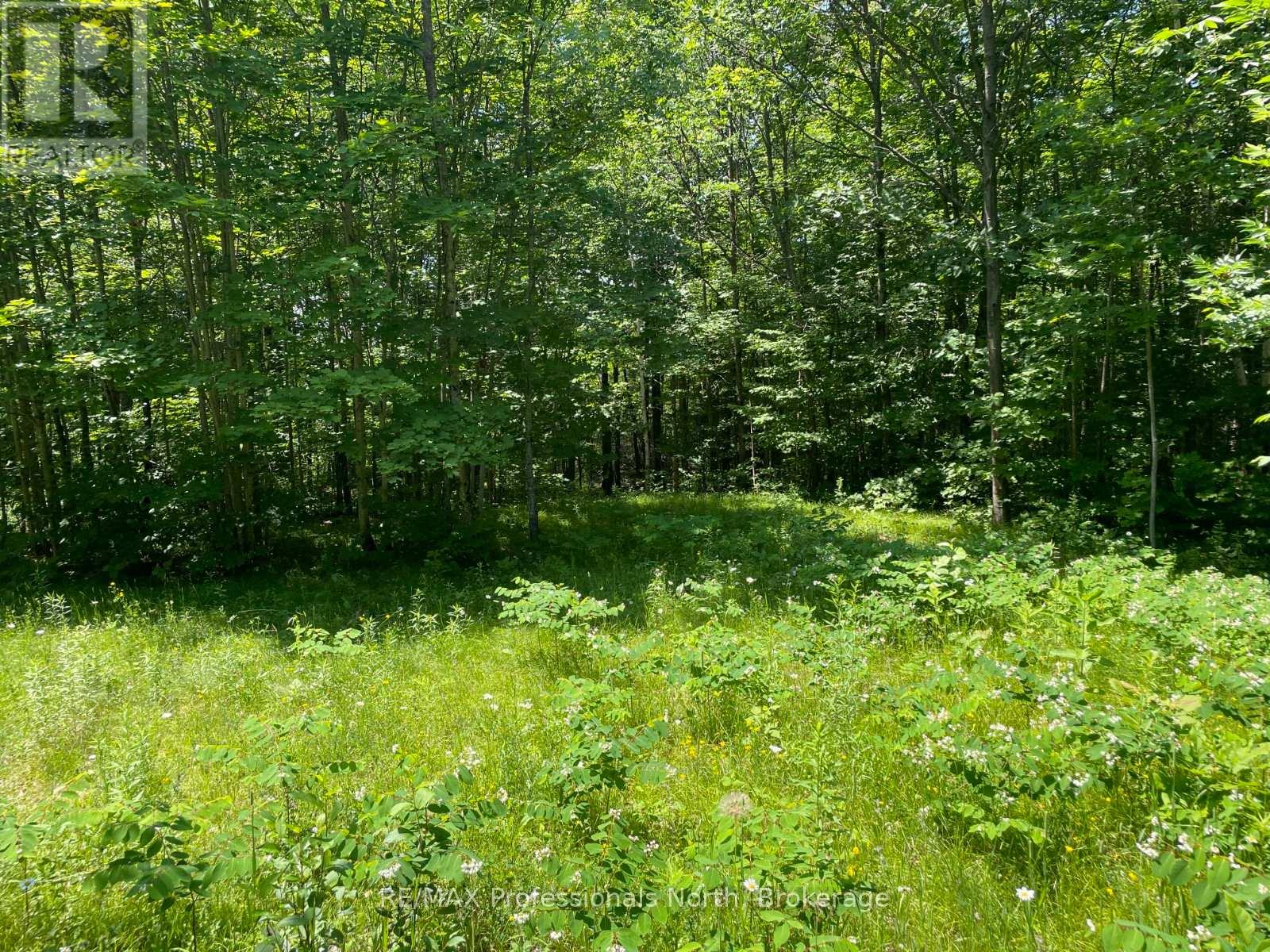 0 Glamor Lake Road Property Photo 11