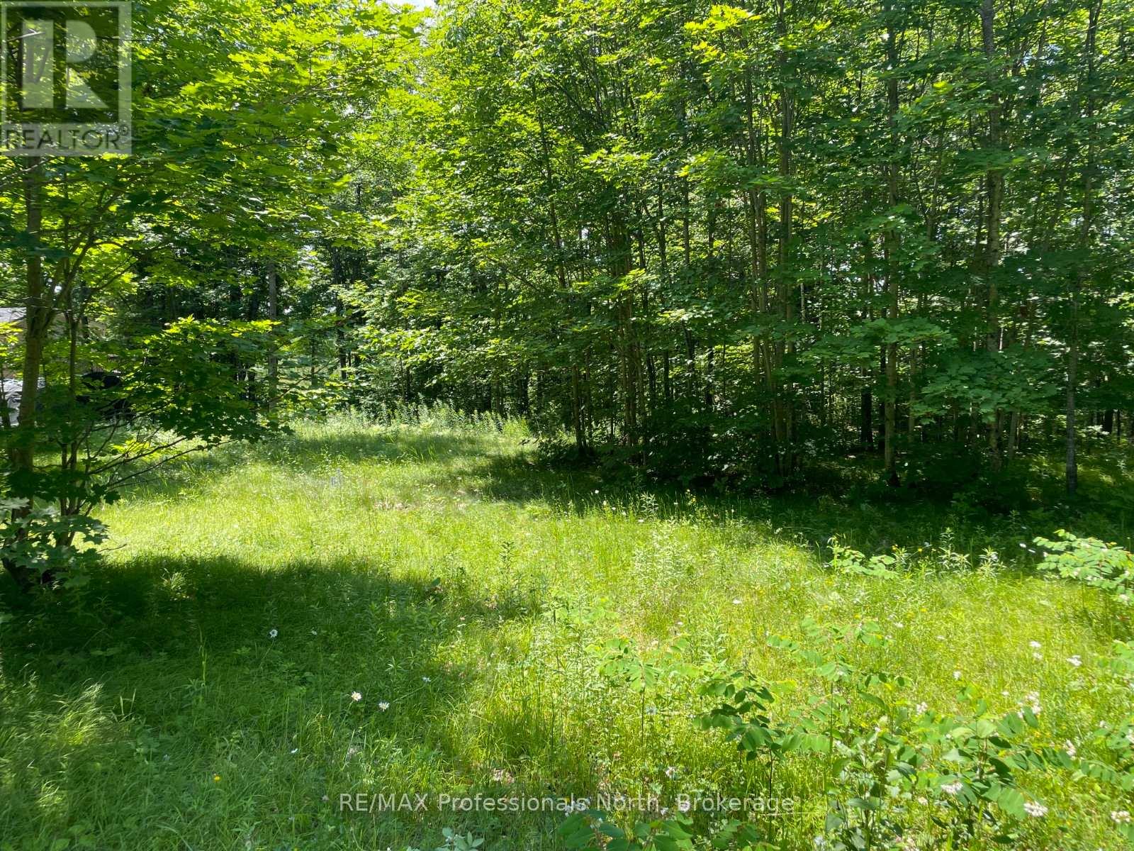 0 Glamor Lake Road Property Photo 12