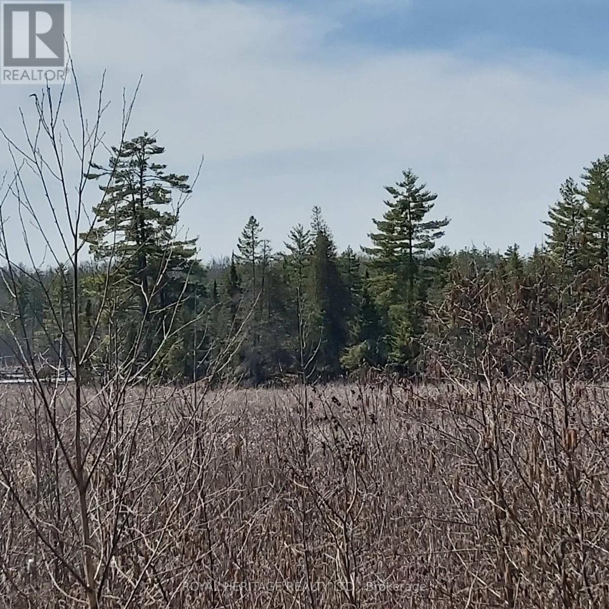 00 Bass Lake Road N Property Photo 3