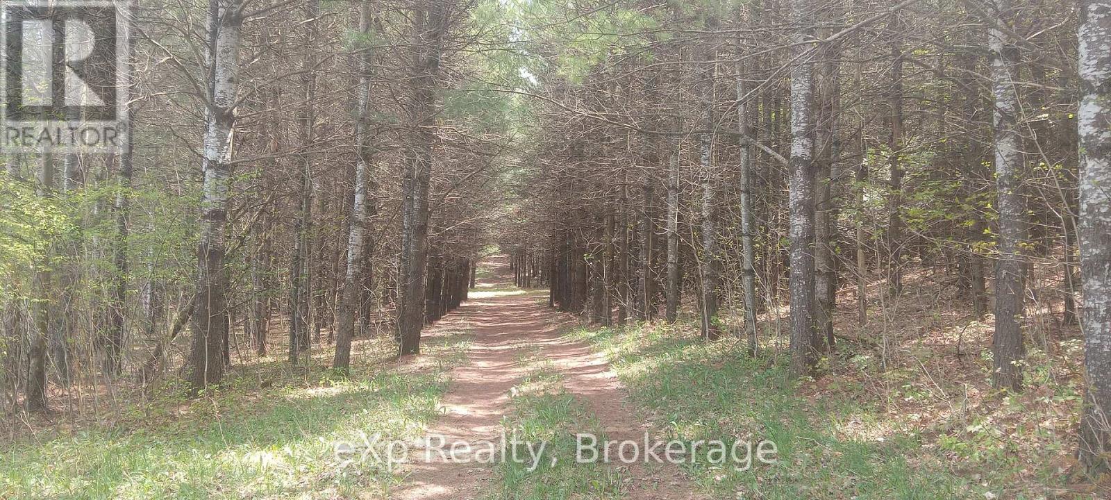 302350 Concession 2 Side Road Property Photo 7