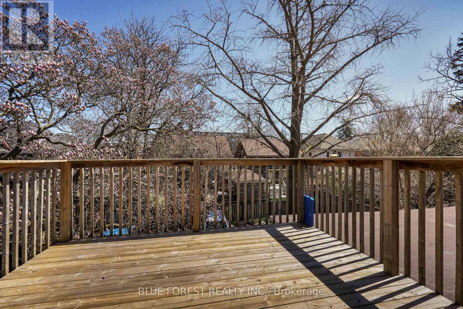 18 Belgrave Avenue Property Photo 12