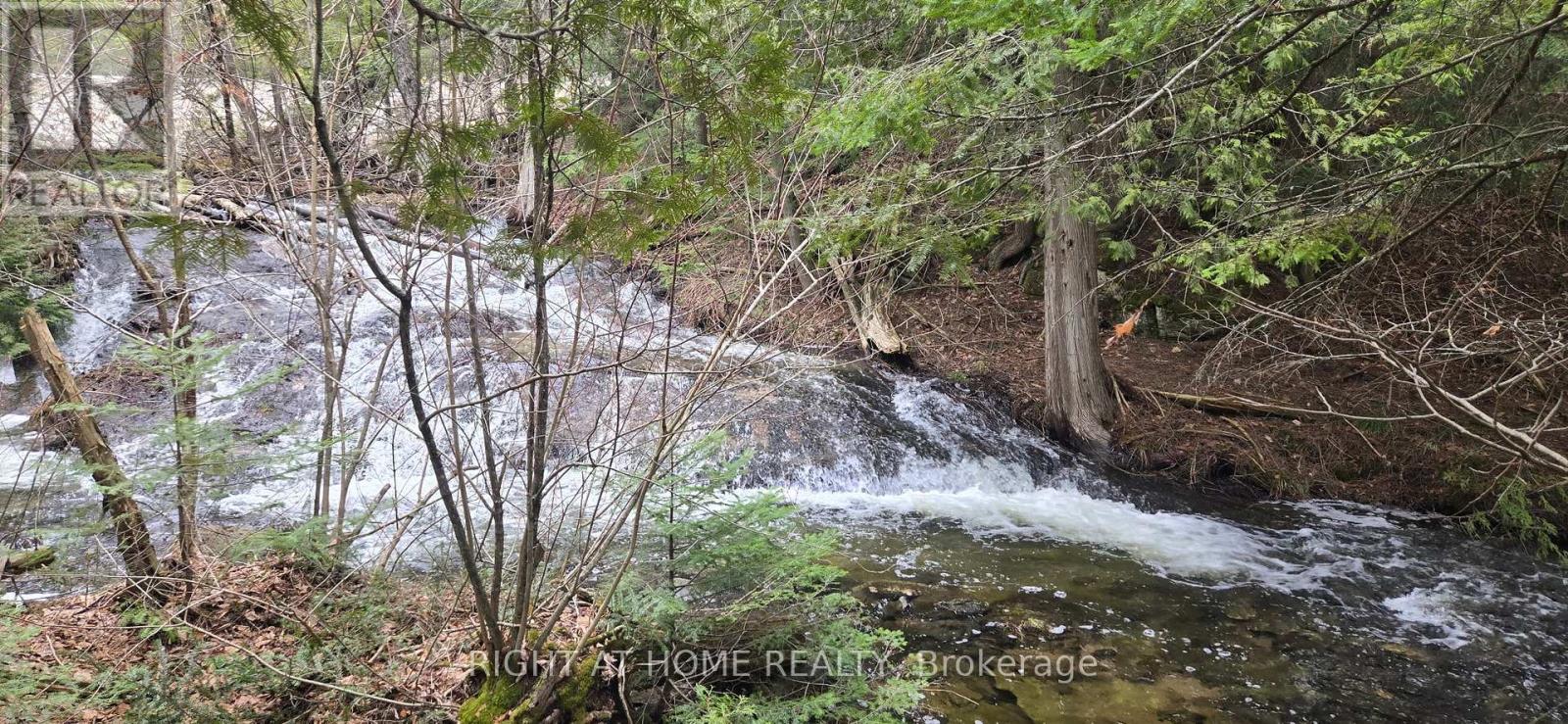 1061 Centennial Lake Road Property Photo 6