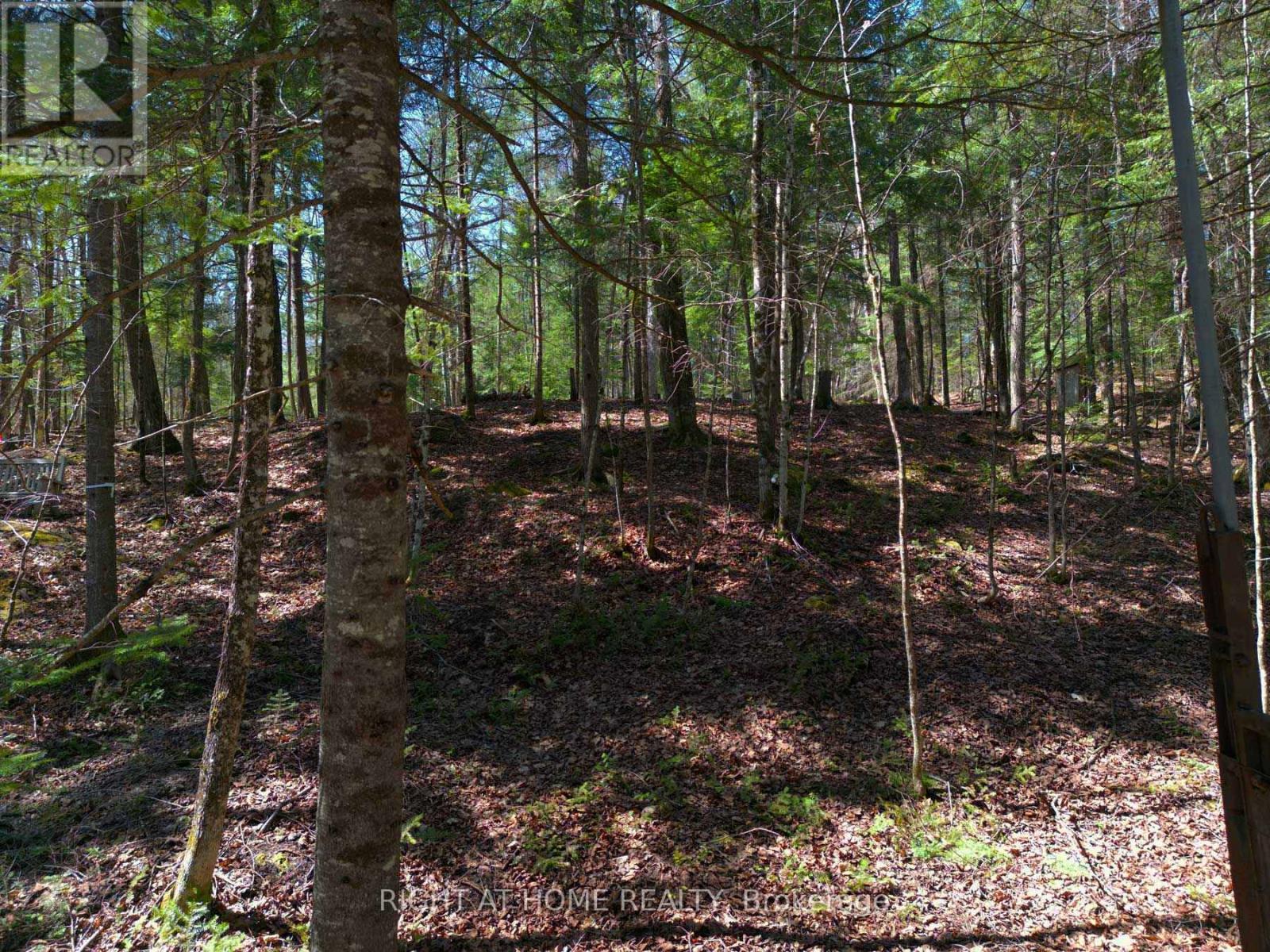 1061 Centennial Lake Road Property Photo 13