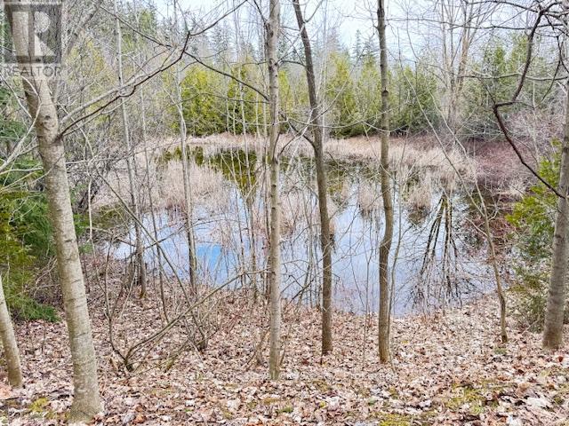 156 Barden Street Property Photo 14