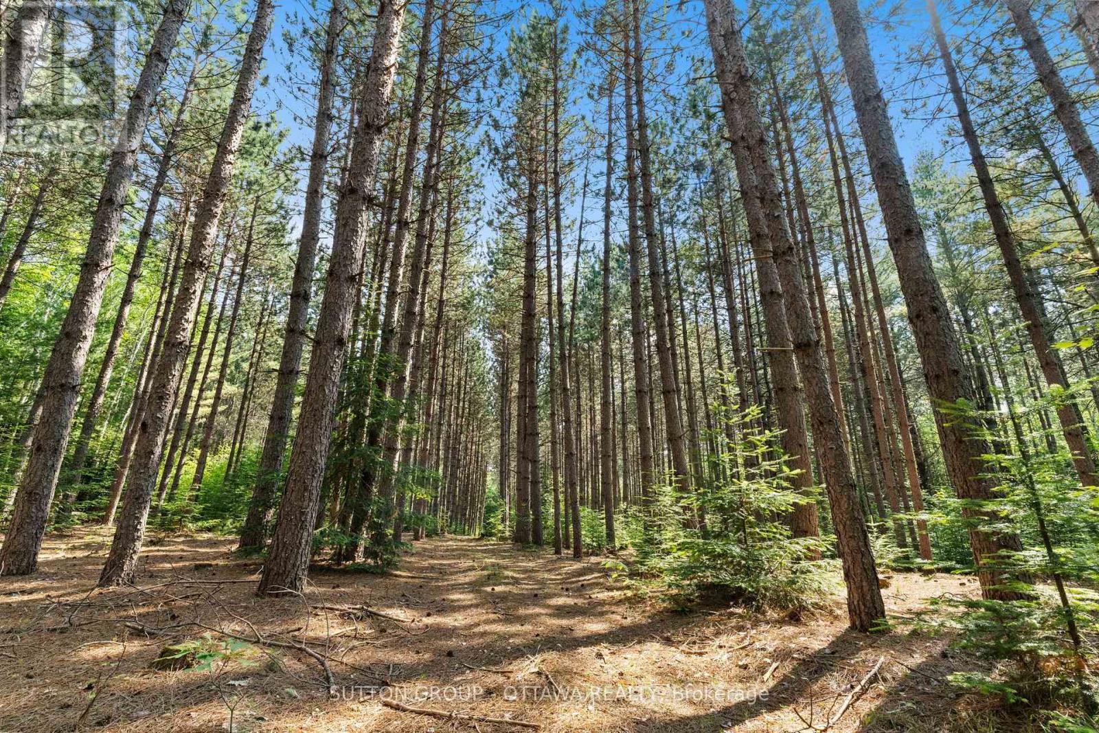 1448 Woito Station Road Property Photo 14