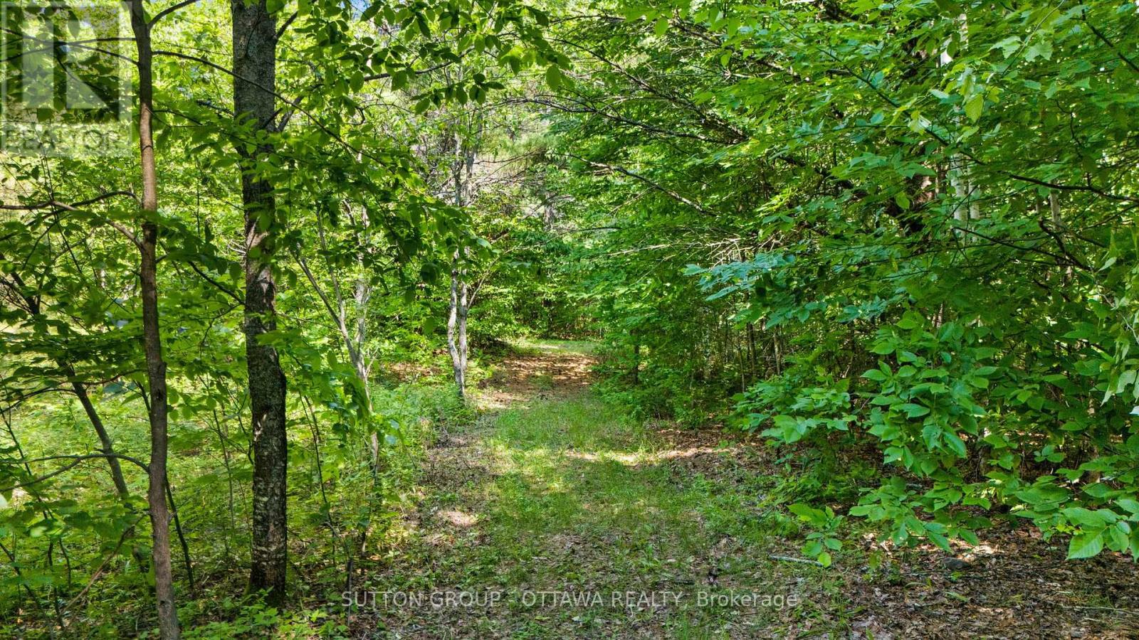 1448 Woito Station Road Property Photo 13