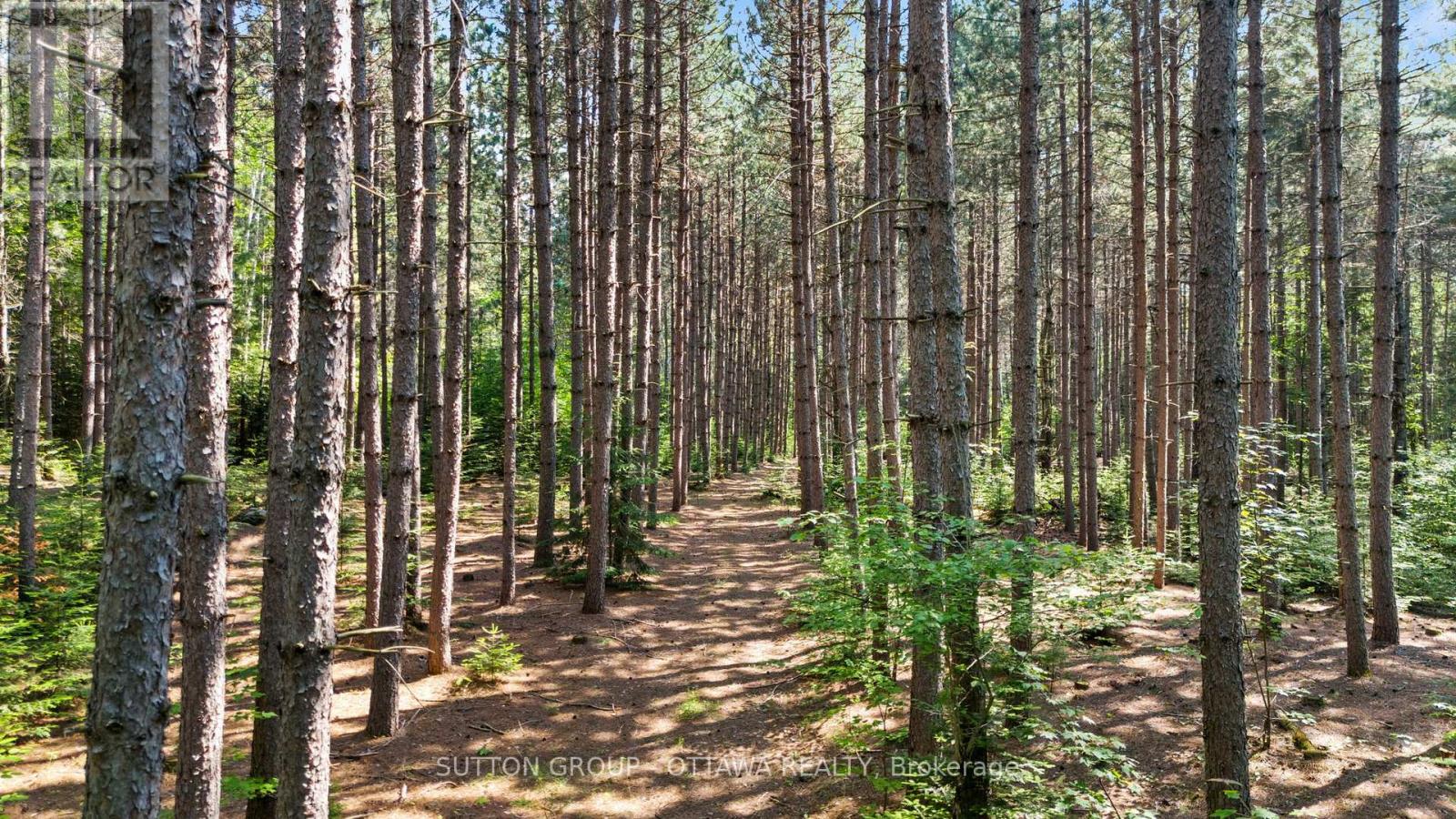 1448 Woito Station Road Property Photo 15