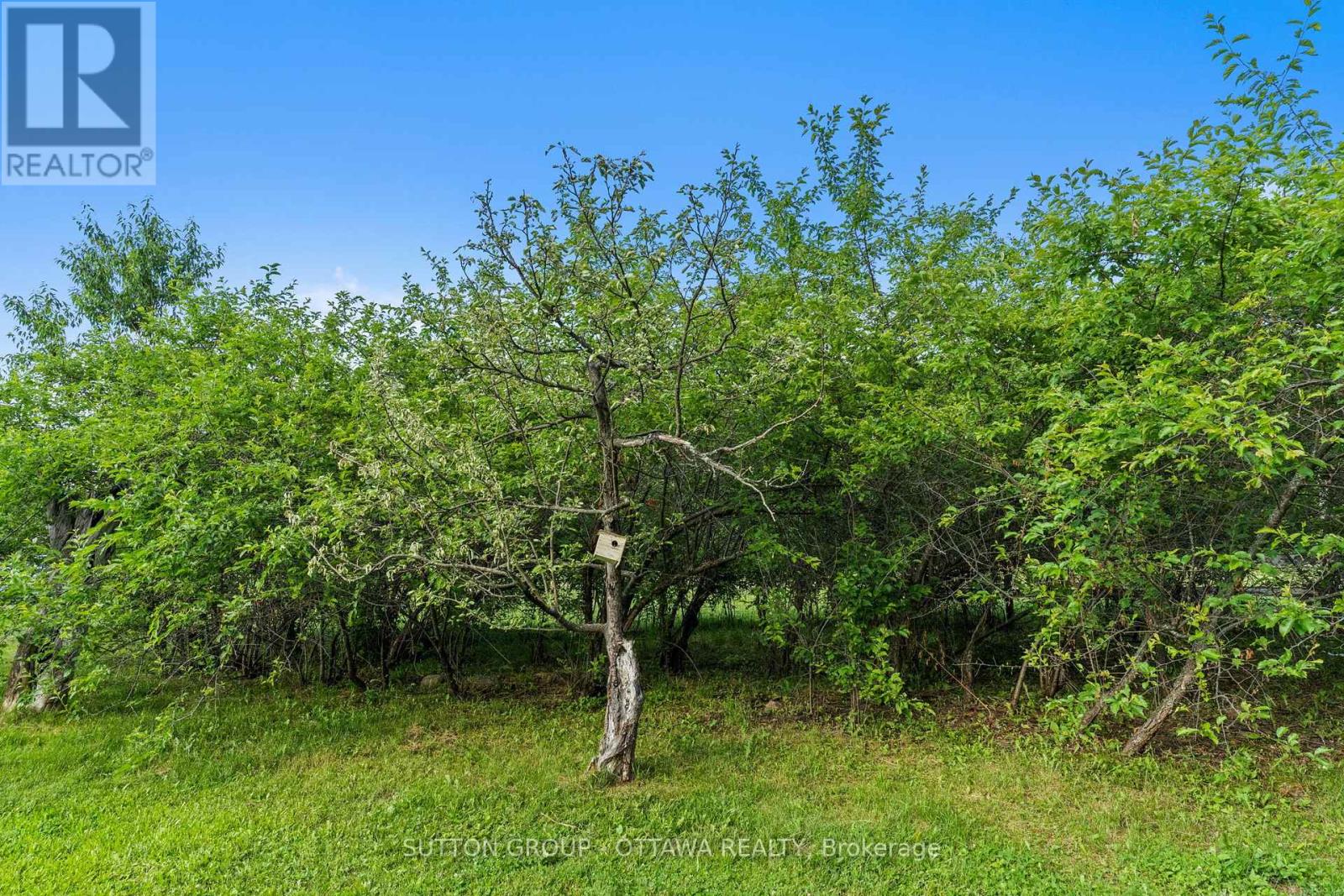 1448 Woito Station Road Property Photo 40