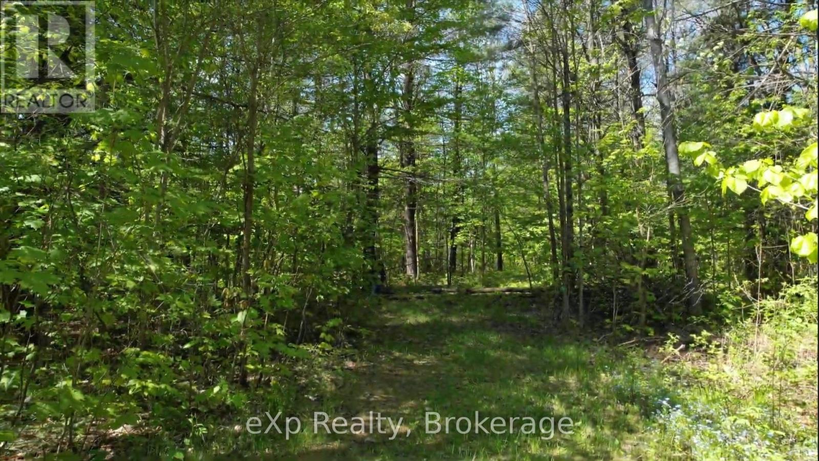 26 Magnet Road Property Photo 4
