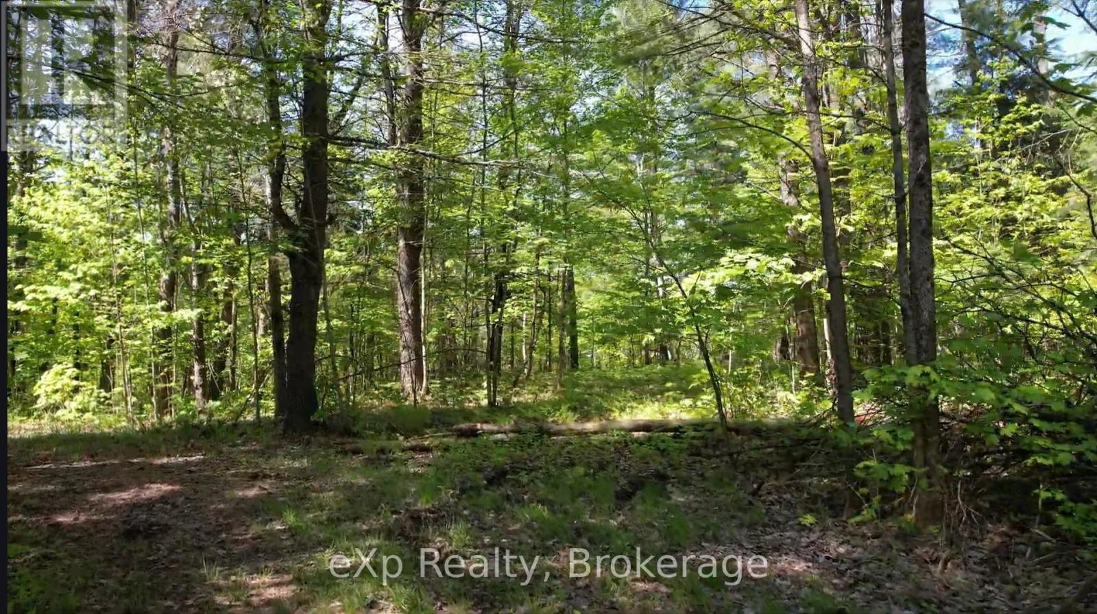 26 Magnet Road Property Photo 5