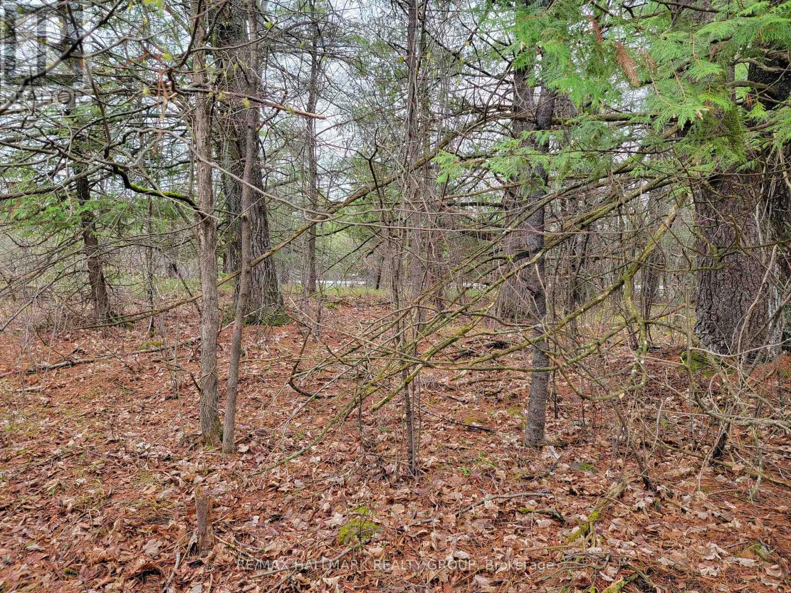 1685 Galetta Side Road Property Photo 4
