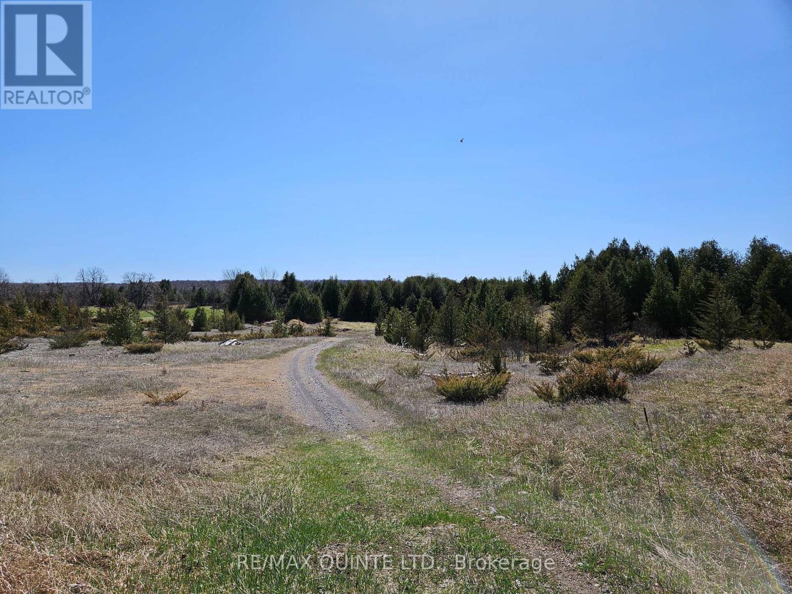 63 Horrigan Road Property Photo 31