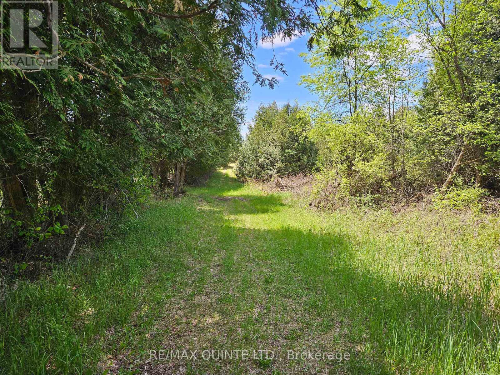 63 Horrigan Road Property Photo 32