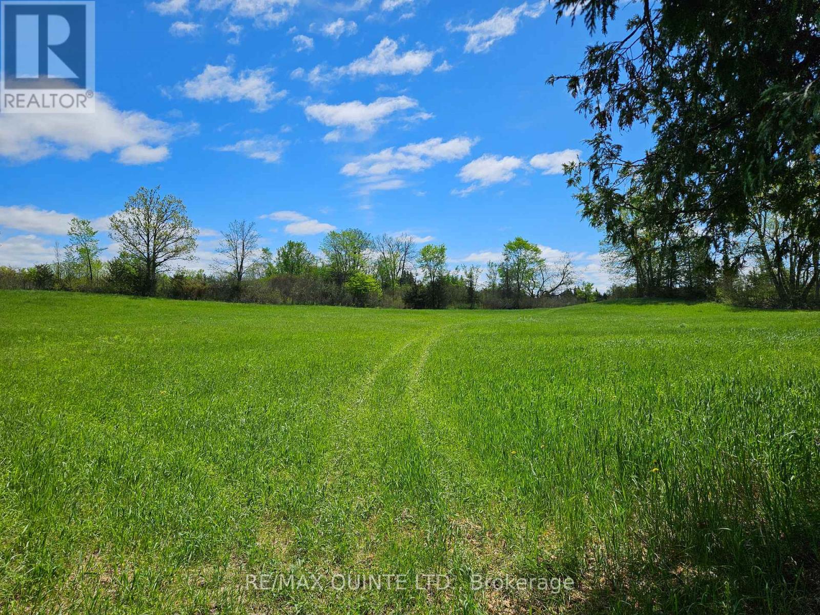 63 Horrigan Road Property Photo 33