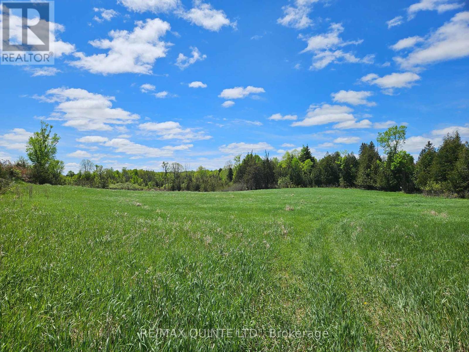 63 Horrigan Road Property Photo 34