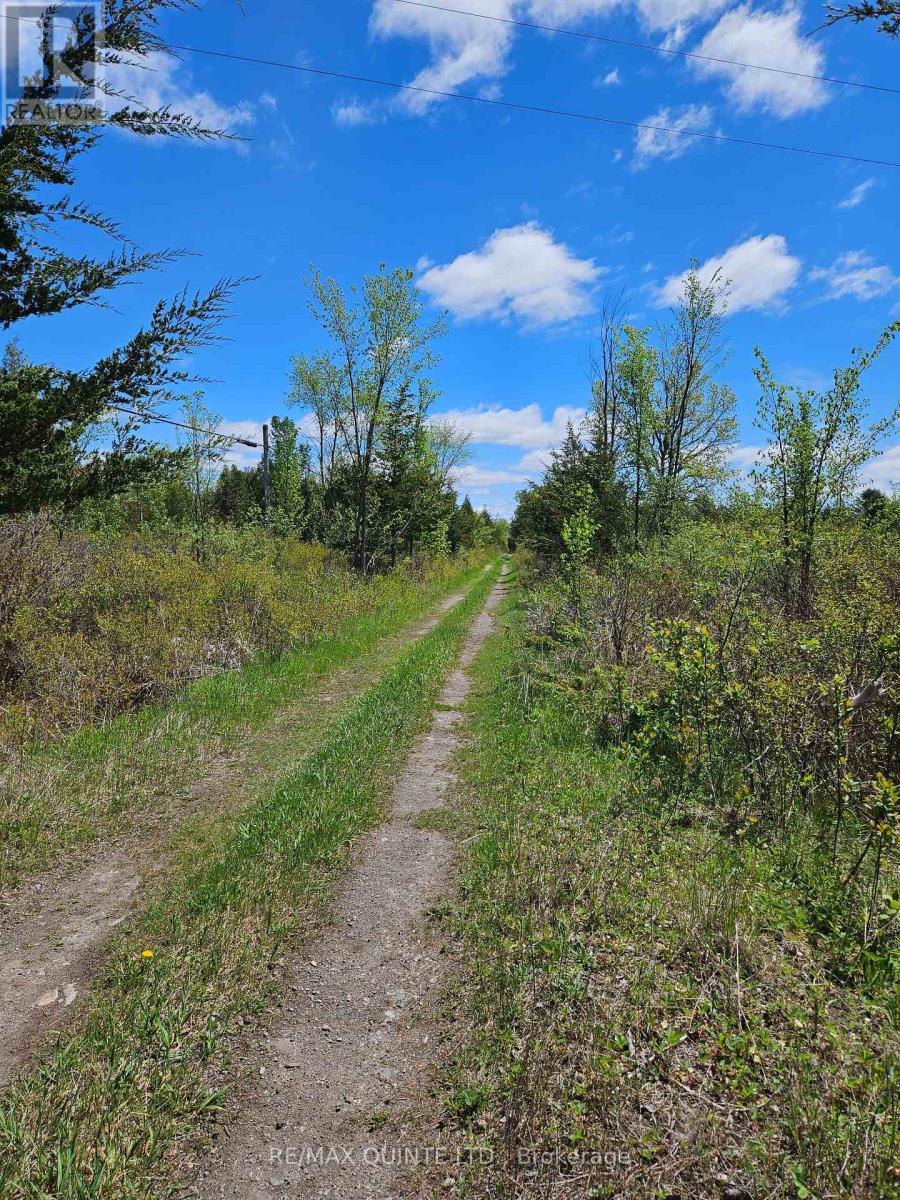 63 Horrigan Road Property Photo 37