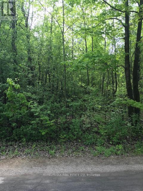 0 Graham Lake Road Property Photo 2